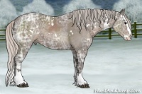 Horse Color:White Spotted Silver Black Ice Sabino Splash
