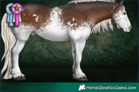 Horse Color:White Spotted Liver Chestnut Mushroom 
