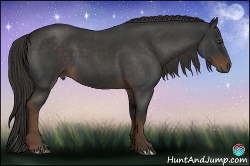 Horse Color:Liver Red Roan 