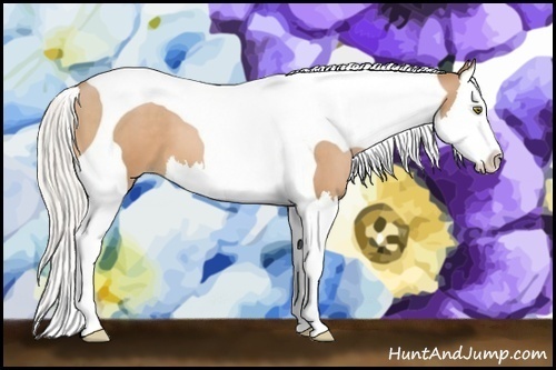 Horse Color:Silver Bay Pearl Splash Tobiano 