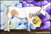 Horse Color:Silver Bay Pearl Splash Tobiano