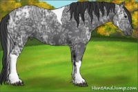 Horse Color:Black Ice Tobiano