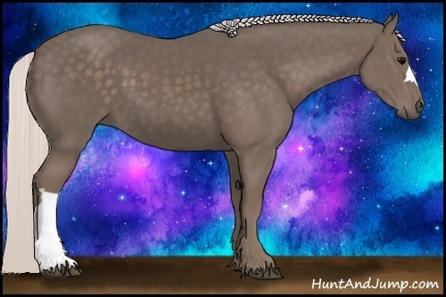 Horse Color:Silver Black 