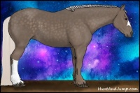 Horse Color:Silver Black 