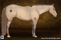 Horse Color:Sable Champagne Varnish Rabicano Brindle