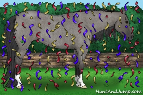 Horse Color:Grullo Roan 