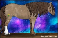 Horse Color:Liver Red Dun Rabicano 