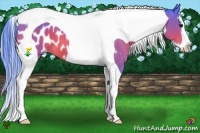 Horse Color:Watercolor Bay Splash Tobiano Appaloosa 