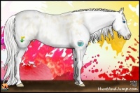 Horse Color:Silver Smoky Black Pearl Splash Blanket Rabicano