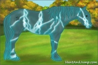 Horse Color:Thunderstruck Watercolor Black 
