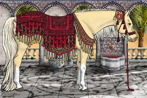 Horse Color:Palomino 