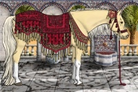 Horse Color:Palomino 