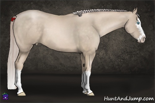 Horse Color:White Spotted Chocolate Palomino Pearl Splash 