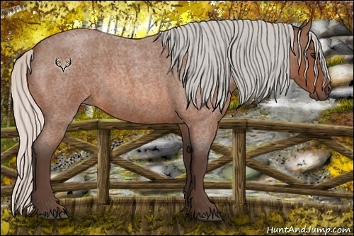 Horse Color:Silver Bay Roan 