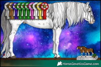 Horse Color:White Spotted Liver Chestnut Sabino  Brindle
