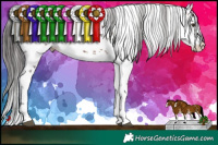 Horse Color:White Spotted Liver Chestnut Sabino  Brindle