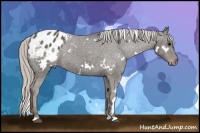 Horse Color:White Spotted Silver Black Blanket 