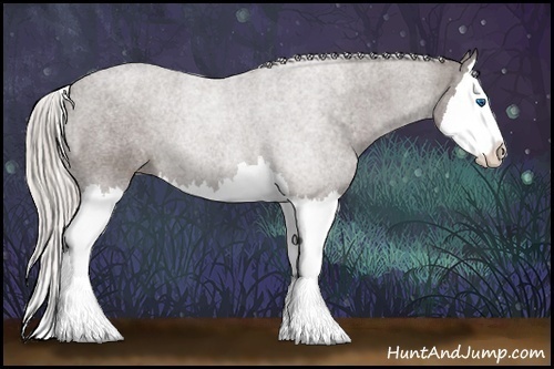 Horse Color:Silver Black Splash