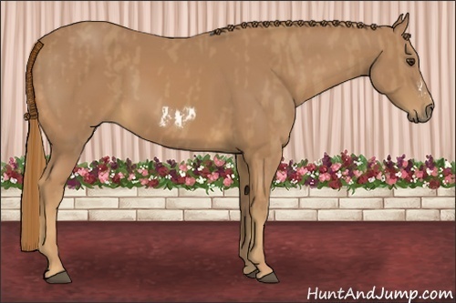 Horse Color:Chestnut Splash Frame Brindle