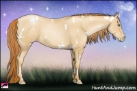 Horse Color:White Spotted Classic Champagne Pearl 