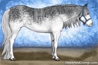 Horse Color:White Spotted Silver Blue Chinchilla Roan Rabicano  Brindle