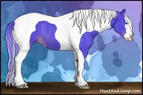 Horse Color:Watercolor Liver Chestnut Sabino Splash Tobiano Rabicano