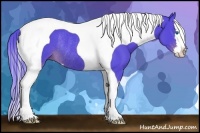 Horse Color:Watercolor Liver Chestnut Sabino Splash Tobiano Rabicano 