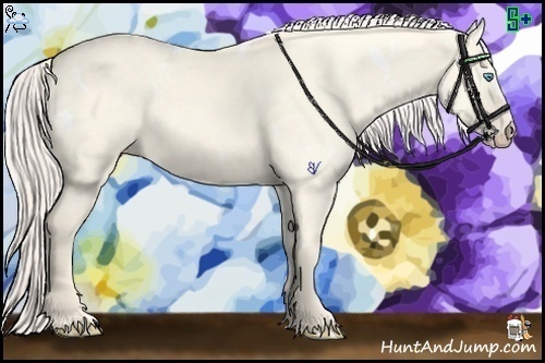 Horse Color:White Spotted Cremello Dun 