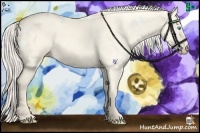 Horse Color:White Spotted Cremello Dun 