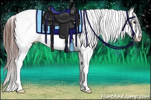 Horse Color:Bay Roan Splash Snowcap 