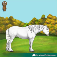 Horse Color:Silver Brown Splash Snowflake Varnish