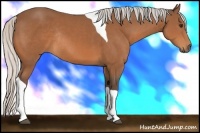 Horse Color:Silver Bay Tobiano Rabicano