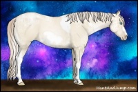 Horse Color:White Spotted Palomino Ice Pearl Dun Tobiano Frame 