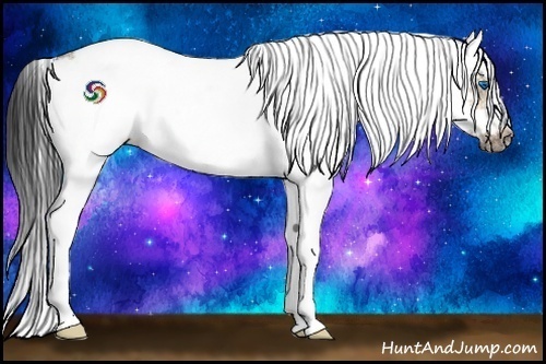 Horse Color:Buckskin Dun Splash Tobiano Frame 