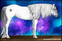 Horse Color:Buckskin Dun Splash Tobiano Frame 