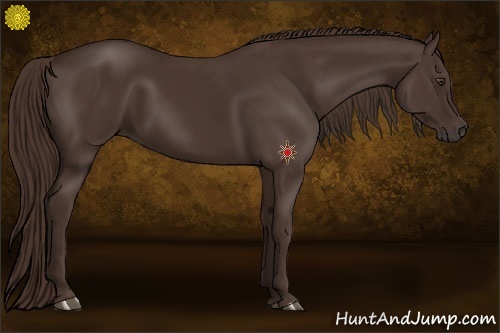 Horse Color:Liver Chestnut Frame 