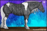 Horse Color:Silver Black Chinchilla Tobiano  Brindle