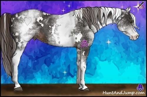 Horse Color:White Spotted Liver Chestnut 