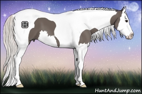 Horse Color:Silver Black Splash Tobiano 