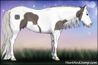 Horse Color:Silver Black Splash Tobiano