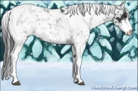 Horse Color:Black Sabino