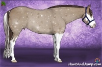 Horse Color:Liver Red Dun Splash Frame 