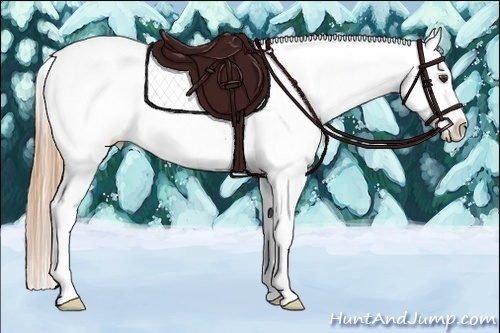 Horse Color:Red Dun Sabino Near Leopard Rabicano