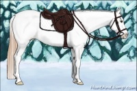 Horse Color:Red Dun Sabino Near Leopard Rabicano 