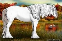 Horse Color:Black Pearl Snowflake Varnish