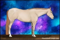 Horse Color:Smoky Black Pearl Sabino