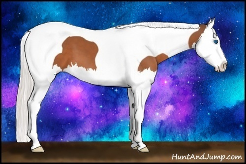 Horse Color:Silver Bay Splash Tobiano 