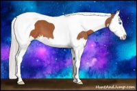 Horse Color:Silver Bay Splash Tobiano