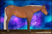 Horse Color:Silver Bay 