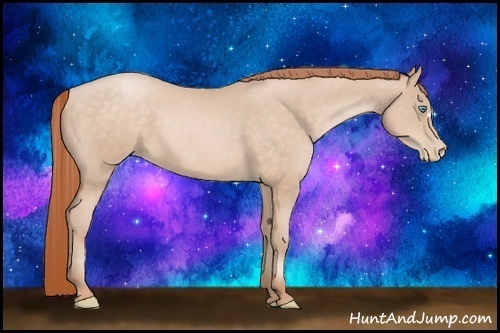 Horse Color:Buckskin Pearl 